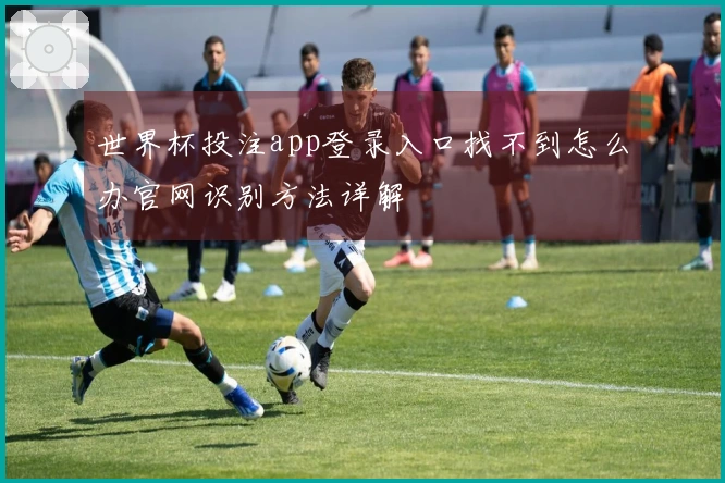 世界杯投注app登录入口找不到怎么办官网识别方法详解