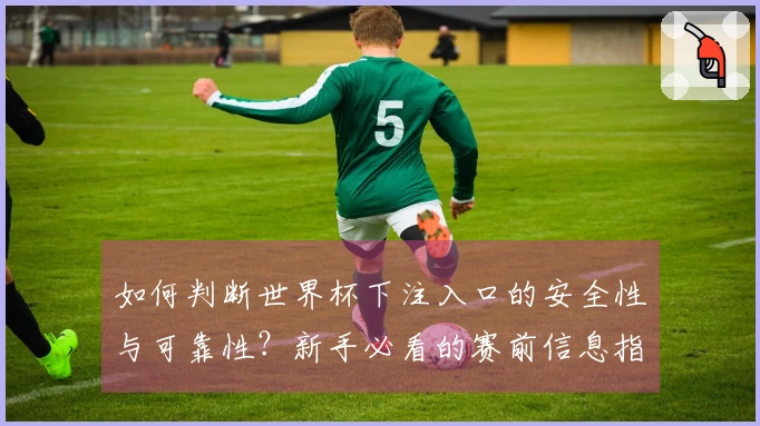 如何判断世界杯下注入口的安全性与可靠性？新手必看的赛前信息指南